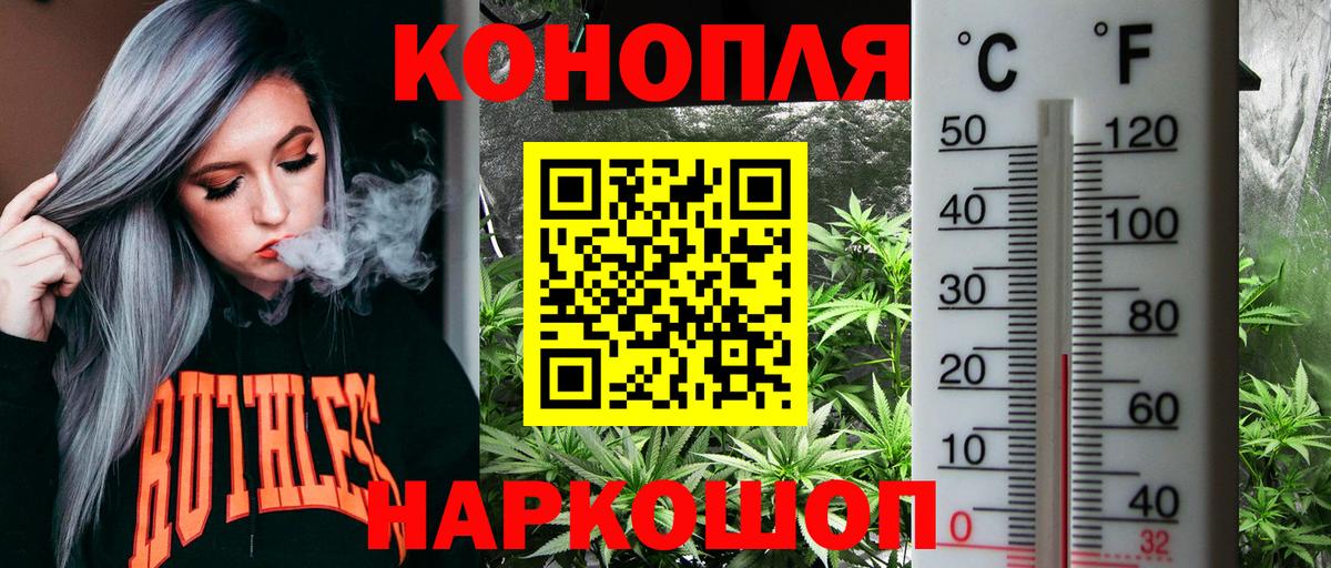 Бошки Шишки план Нефтекамск